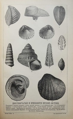 Неймайр М. История земли. [В 2 т.]. Т. 1-2. СПб., 1896.